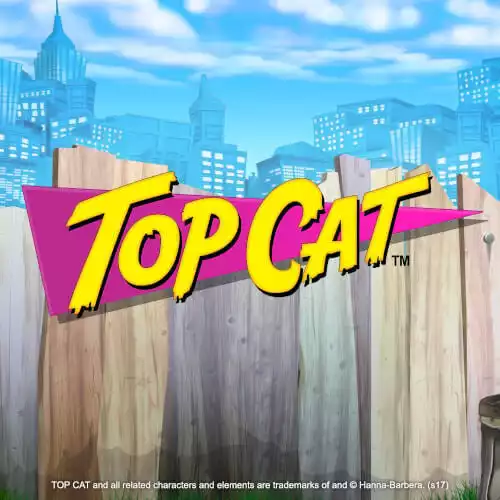 Top Cat