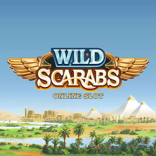 Wild Scarabs