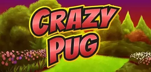 Crazy Pug