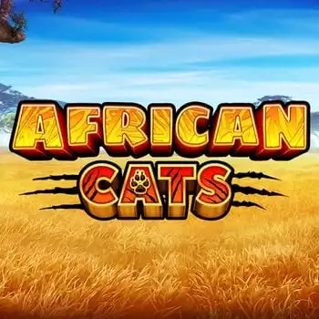 African Cats