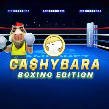 Cashybara Boxing Edition
