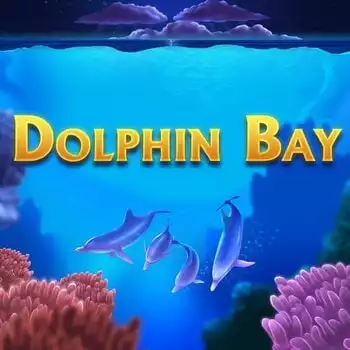 Dolphin Bay