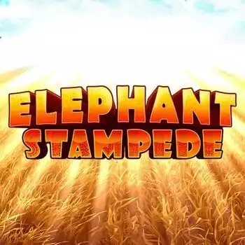 Elephant Stampede