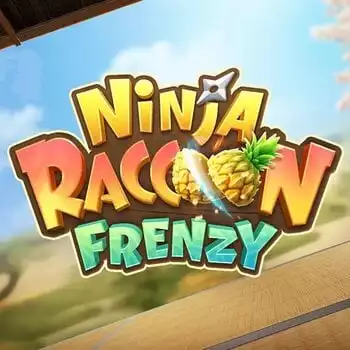 Ninja Raccoon Frenzy